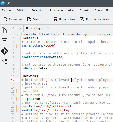 triliumnext-configini.png